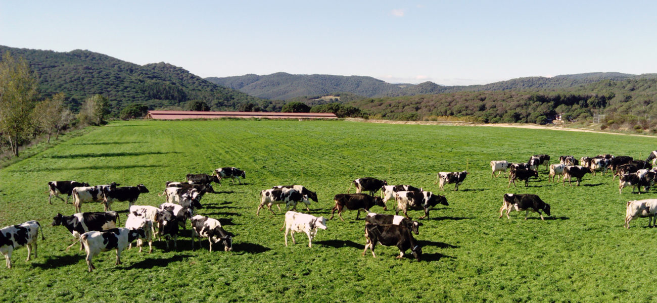 Agroturismo: un posible complemento económico para nuestras granjas — Omnivoraz