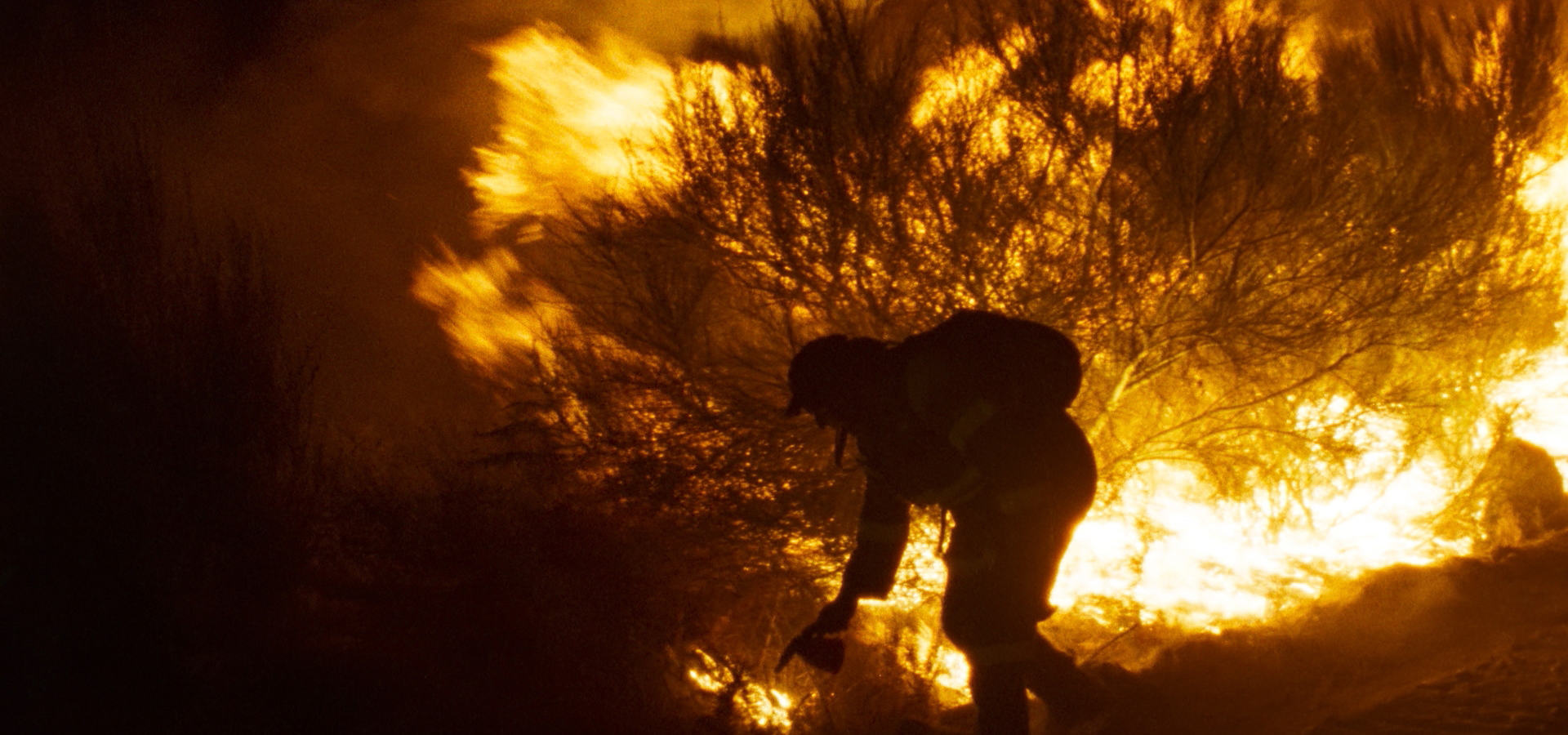 Lo que arde, de Oliver Laxe: una historia de fuego, sacrificio y amor — Cine — Omnivoraz